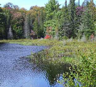 Mizzy Lake,Indian Summer