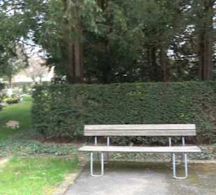 Alter Friedhof