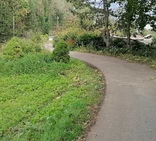 Fort Albeck (Werk XXXIX)