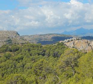 Wandern Alcudia