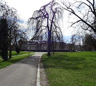 Rosensteinpark Übergang zu Schlossgarten
