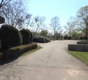 Neuer Friedhof
