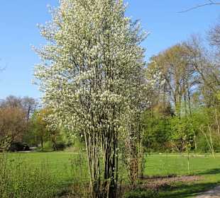 Impressionen vom Spaziergang durch den Kurpark