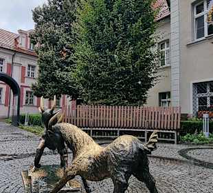 Ziegen
