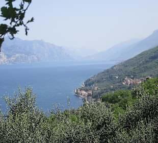 Wanderung über Crero nach Torri del Benaco