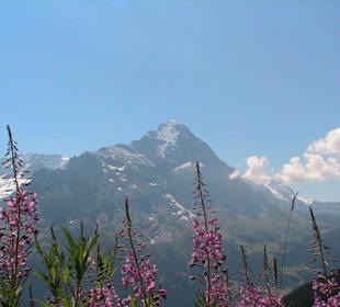 Eiger