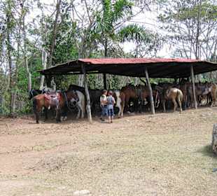 Hier kann man Reiten