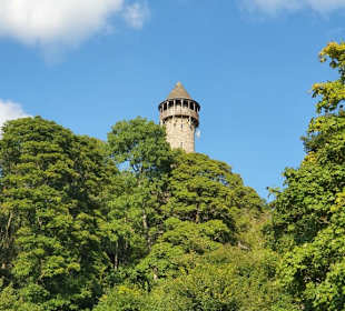 Burg Wildenburg (Hunsrück) - Aussichtsturm