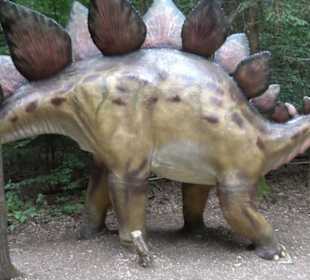 Dinosaurier Museum Altmühltal