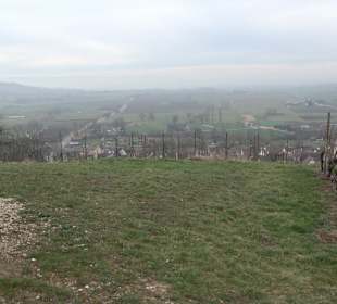 Unterjesinger Wengertwegle