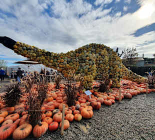 Bauer-Lipp Weiterstadt