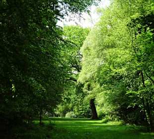 Frühlingsspaziergang durch das Eversten Holz