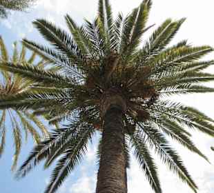 Palma Altstadt Arabische Bäder ca 1000 Jahre alt.