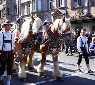 Bürgerbräu Hersbruck Bierwagen mit Holzrädern
