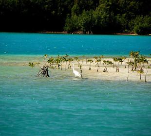 Jednodniowa wycieczka Cayo Largo 