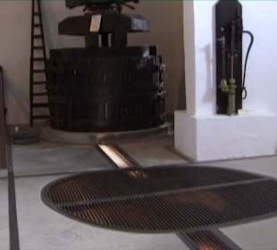 Bodega + Museum El Grifo