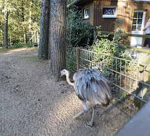 WP LH Herbst Impression