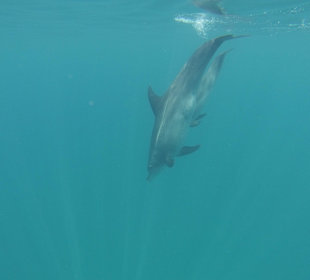 Ausflug mit Joseph&Marlen