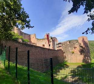 Schloss- und Festungsruine Hardenburg
