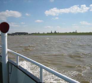 Ditzum vom Dollard aus gesehen