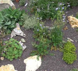 Blühendes Neresheim