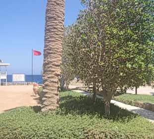 Hurghada Marina Boulevard