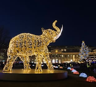 Stuttgart