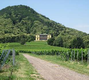 Blick aufs Schloss
