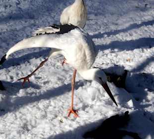 ImpressionOstern2013