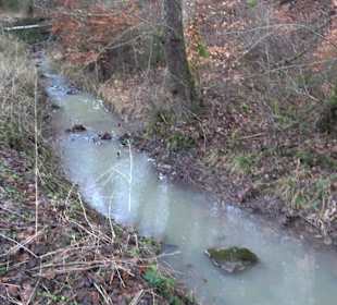 Wanderung rund um den Ochsenweiher