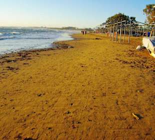 Stand 12.12.2011 gg. vom Sunrise