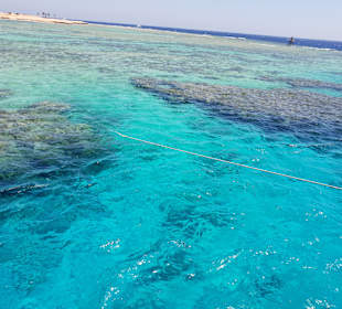 Schnorcheln Makadi Bay