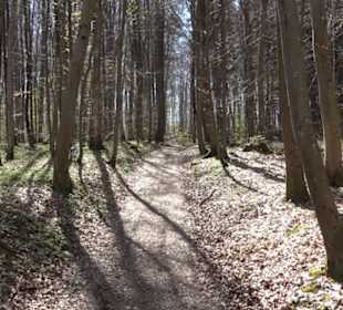 Wanderung Florianrunde