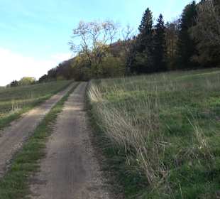 Wandertour "Rund um den Rossberg" Öschingen