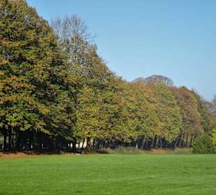 Herbstspaziergang durch den Schlosspark Lütetsburg