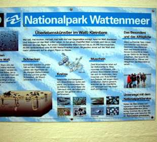 Die Erklärungen zum Nationalpark Wattenmeer!