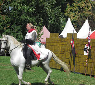 Mittelalterliches Spectaculum 