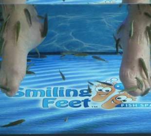 Smilling Feet - Promenade