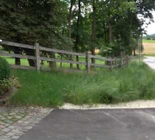 Schloss Albgut