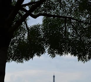 Jardin des Tuileries