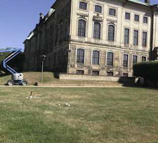Japanisches Palais