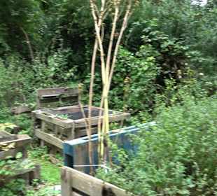 Quartiersgarten im Dichterviertel