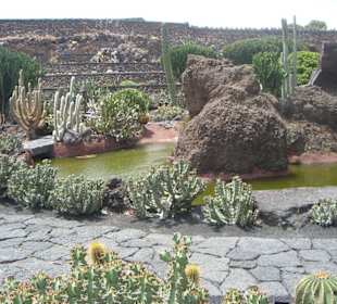 Blick auf einen Teich