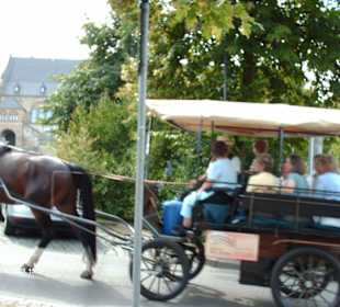 Romantische Kutschfahrt