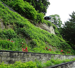 Stadtgraben Überlingen