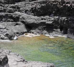 Natural Pool