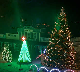 Christmas light Show 