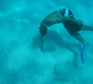 Schnorcheln Abu Dabad Tauchlehrer