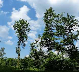 Wolken und Sonne bei über 25 Grad