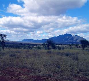 Landschaft in Tsavo West